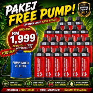SET FREE PUMP